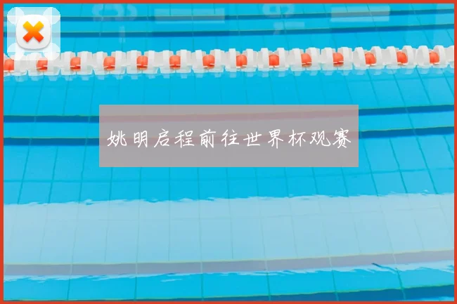 姚明启程前往世界杯观赛