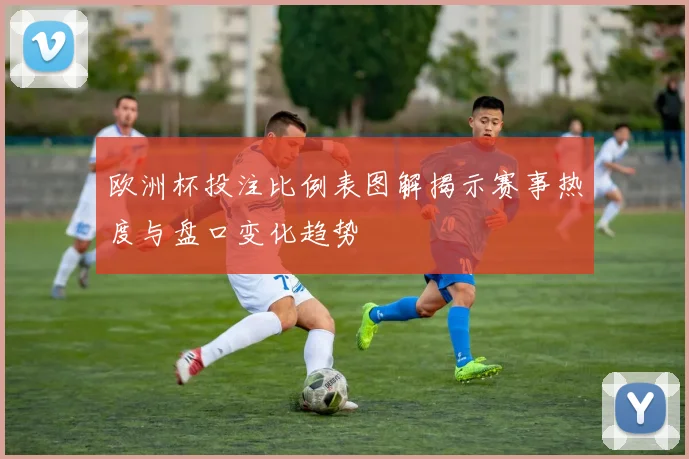 欧洲杯投注比例表图解揭示赛事热度与盘口变化趋势